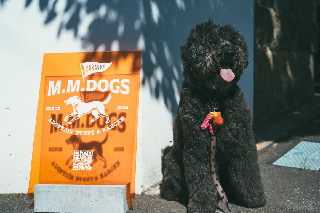 犬用品の店なのに、なぜ譲渡会をやっているのか。