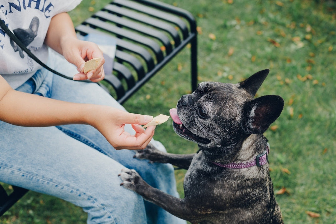 TREATS