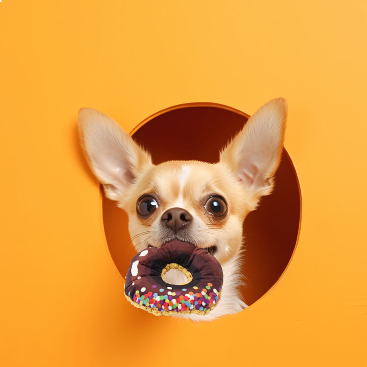 ループ　犬用おもちゃ　スモル　ドーナツ / Small Dog Toy