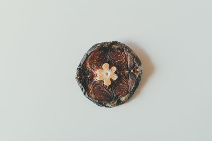 FISHDOGまぐろジャーキー尾の身