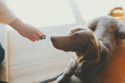 FISHDOGまぐろジャーキー尾の身