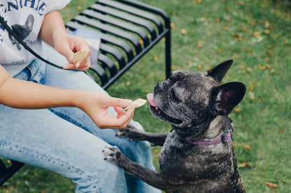 FISHDOGまぐろフリーズドライ