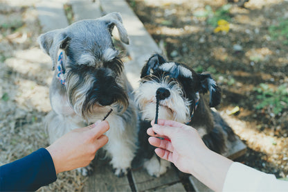 FISHDOGまぐろジャーキー血合