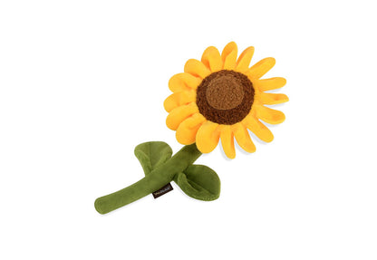 サンフラワー【P.L.A.Y. ブルーミングバディーズシリーズ】