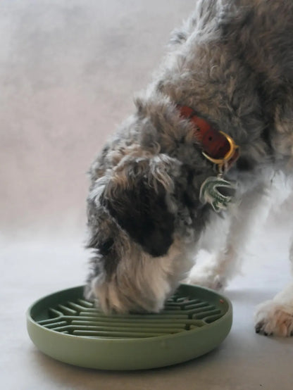 mellowbear【MELLOW BOWL Vol.2】