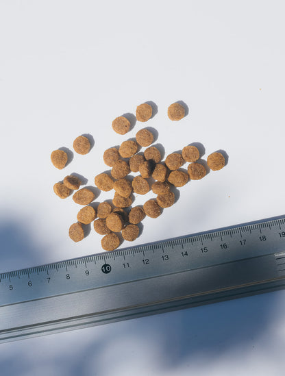 Party Animal ドッグフード／チキン&オーツレシピ