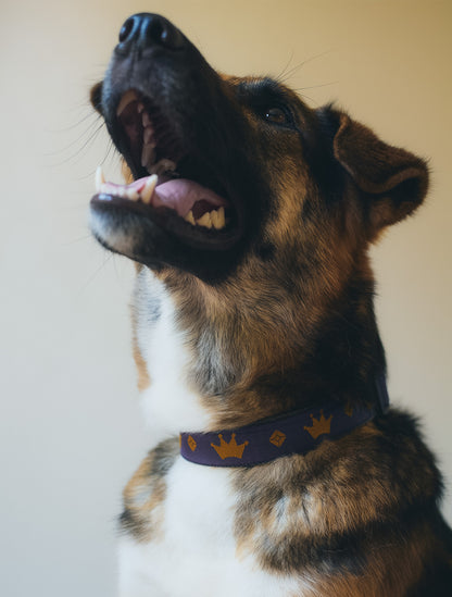 earthdog｜アースドッグ【100%ヘンプ製マーチンゲールカラー】