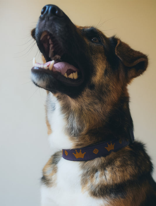 earthdog｜アースドッグ【100%ヘンプ製マーチンゲールカラー】