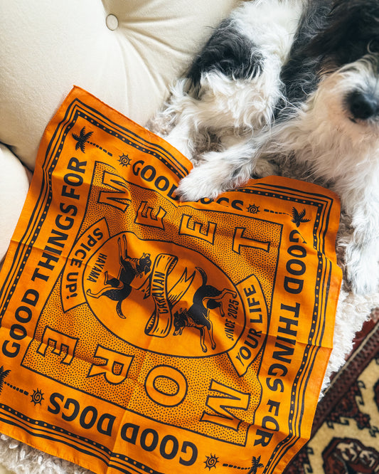 Spice up your life! バンダナ