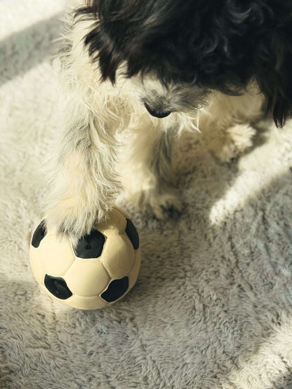 LANCO｜ランコ【サッカーボール】を持つ犬の手のクローズアップ写真