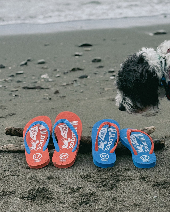 M.M.DOGS Caravan x げんべい チャリティービーサン