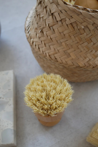 mellowbear【わんちゃん用食器洗いブラシ】