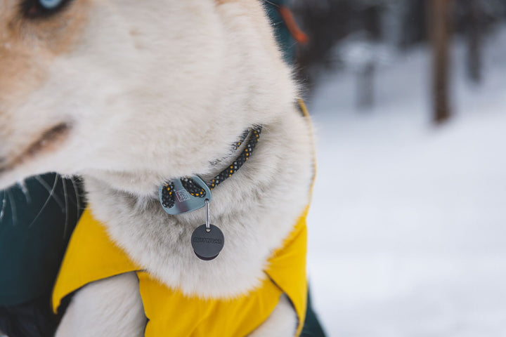 RUFFWEAR｜ラフウェア【ノットアカラー】