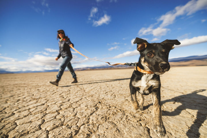 RUFFWEAR｜ラフウェア【クラッグリーシュ】