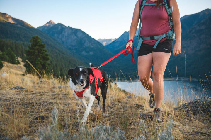RUFFWEAR｜ラフウェア【ウェブマスタードッグハーネス】