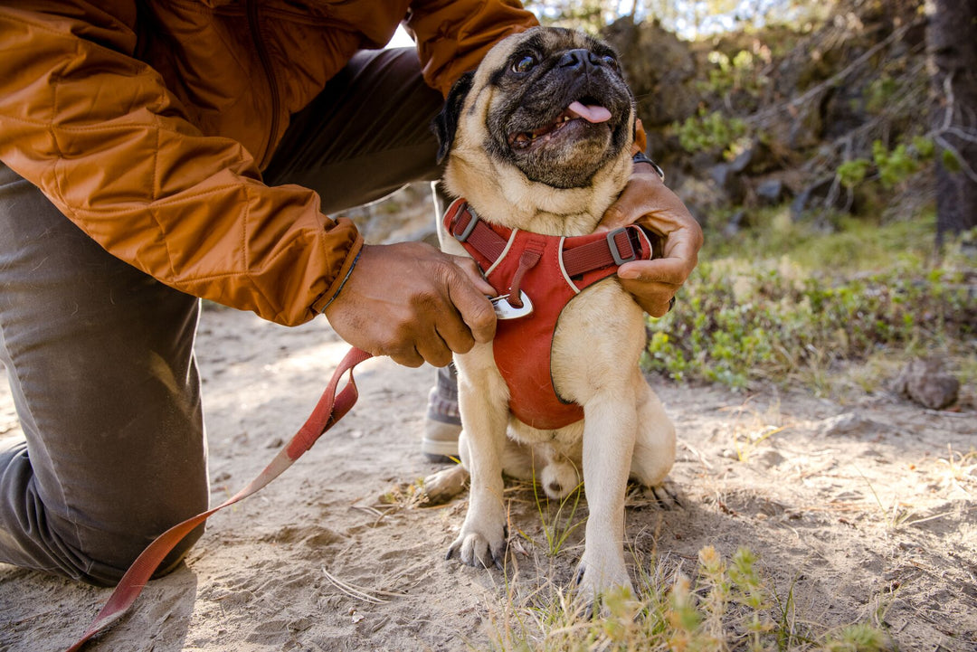 RUFFWEAR｜ラフウェア【フロントレンジハーネス】