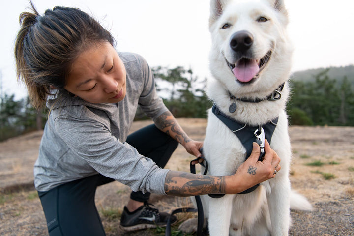 RUFFWEAR｜ラフウェア【フロントレンジハーネス】