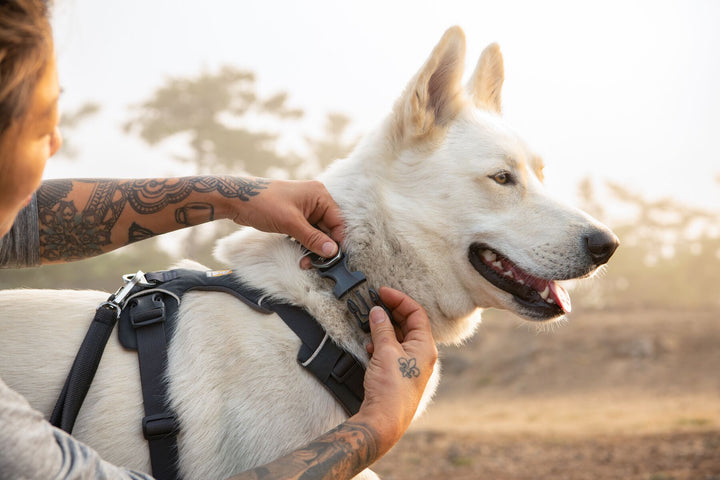 RUFFWEAR｜ラフウェア【フロントレンジカラー】