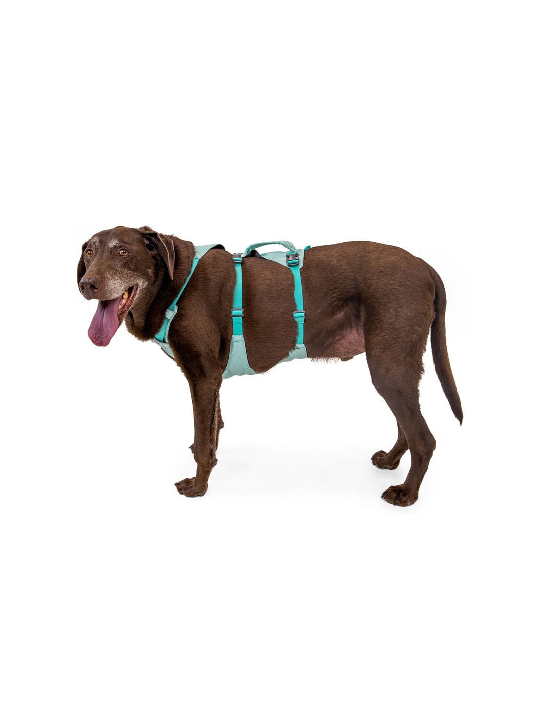 RUFFWEAR｜ラフウェア【フラッグラインハーネス】