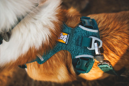 RUFFWEAR｜ラフウェア【フロントレンジフレックスハーネス】