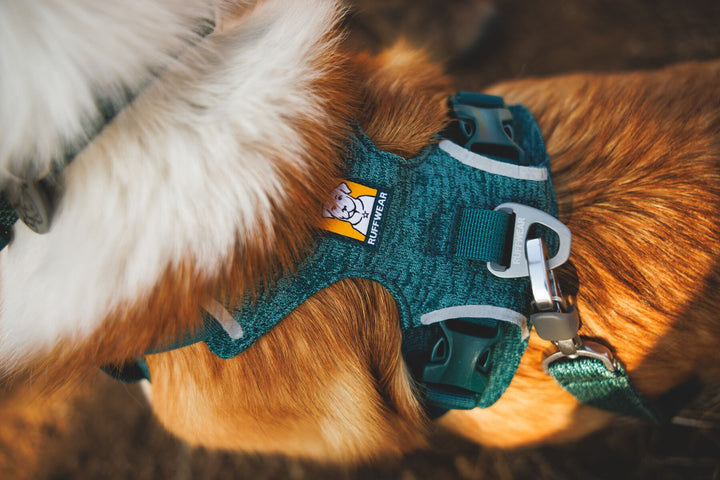 RUFFWEAR｜ラフウェア【フロントレンジフレックスハーネス】
