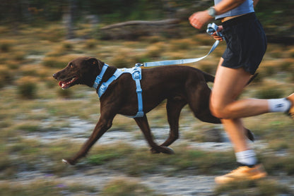 RUFFWEAR｜ラフウェア【フロントレンジフレックスハーネス】