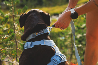 RUFFWEAR｜ラフウェア【フロントレンジフレックスハーネス】