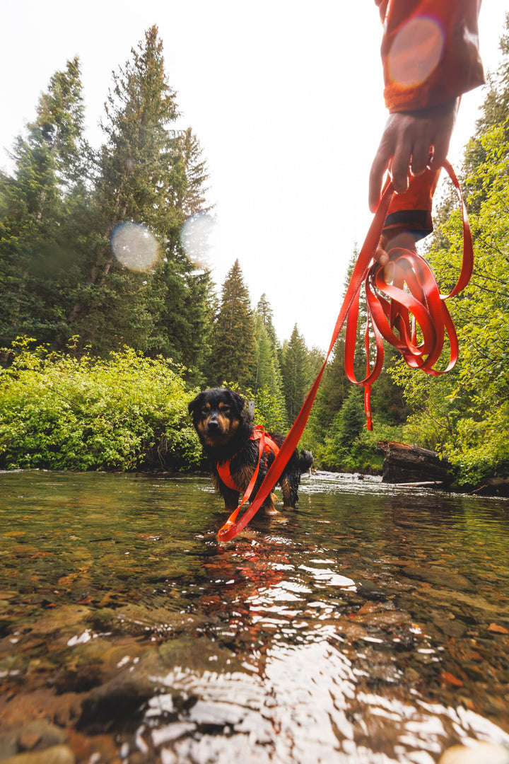 RUFFWEAR｜ラフウェア【ローグロングライン】