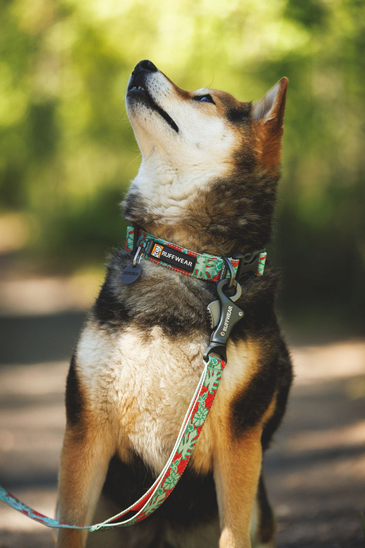 RUFFWEAR｜ラフウェア【クラッグカラー】