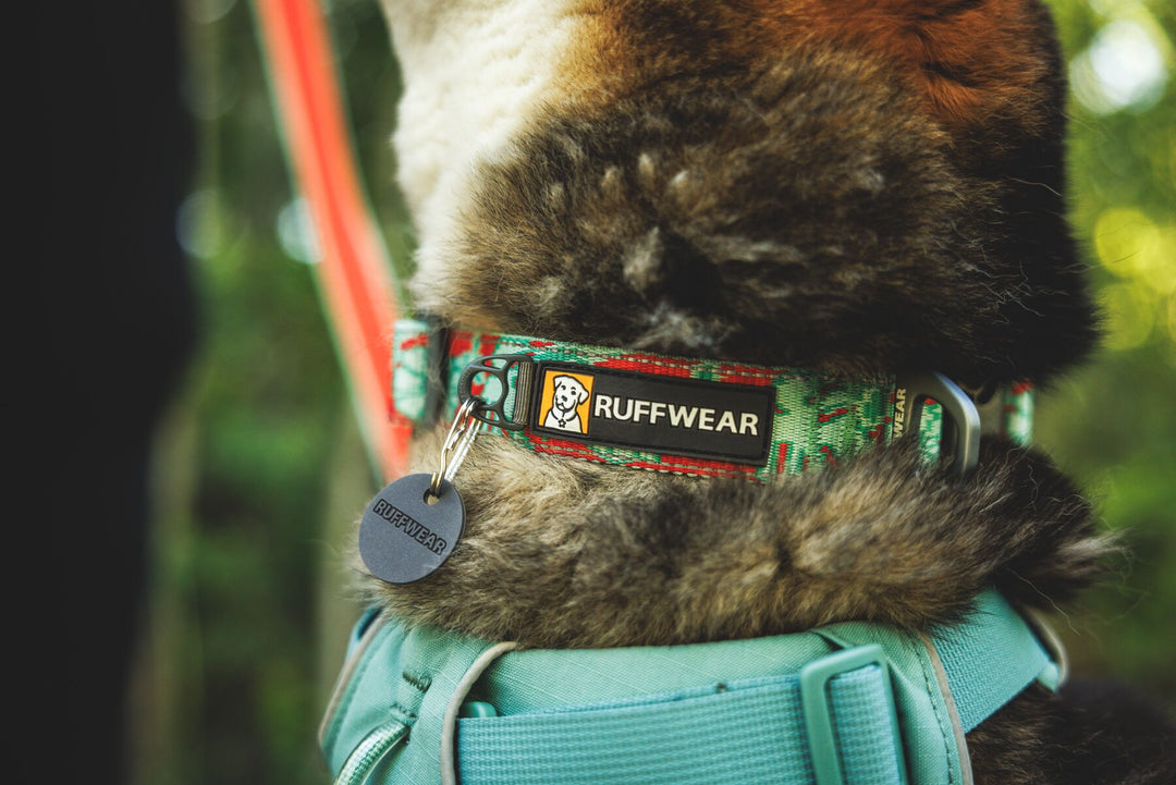 RUFFWEAR｜ラフウェア【クラッグカラー】