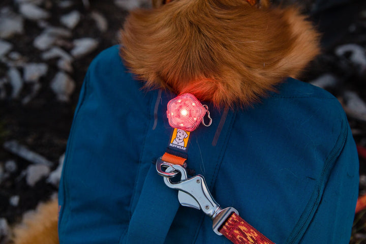 RUFFWEAR｜ラフウェア【ビーコン】