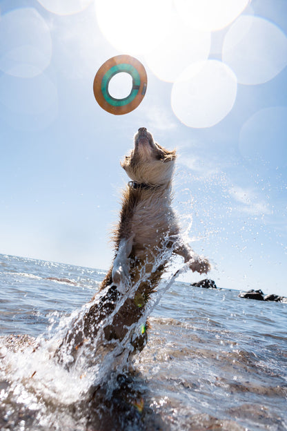 RUFFWEAR｜ラフウェア【ハイドロプレーン】