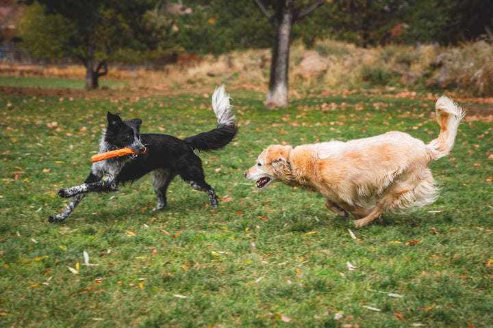 RUFFWEAR｜ラフウェア【ノットアスティック】