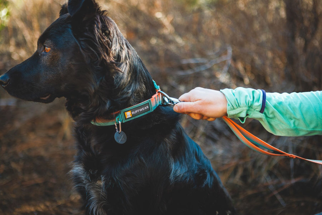 RUFFWEAR｜ラフウェア【フロントレンジカラー】