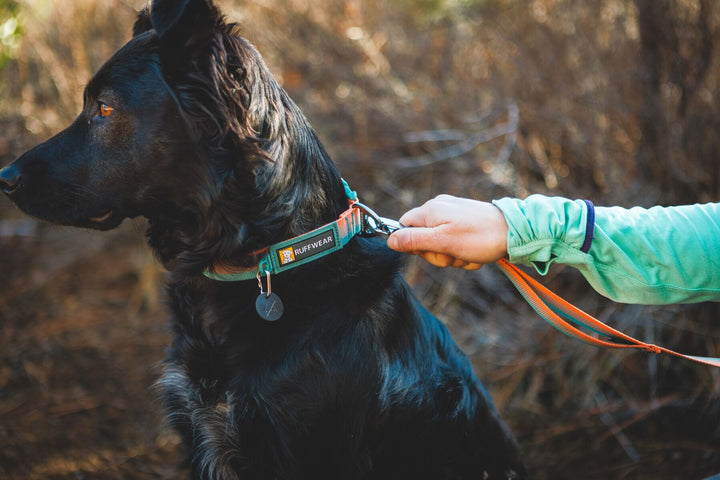 RUFFWEAR｜ラフウェア【フロントレンジカラー】