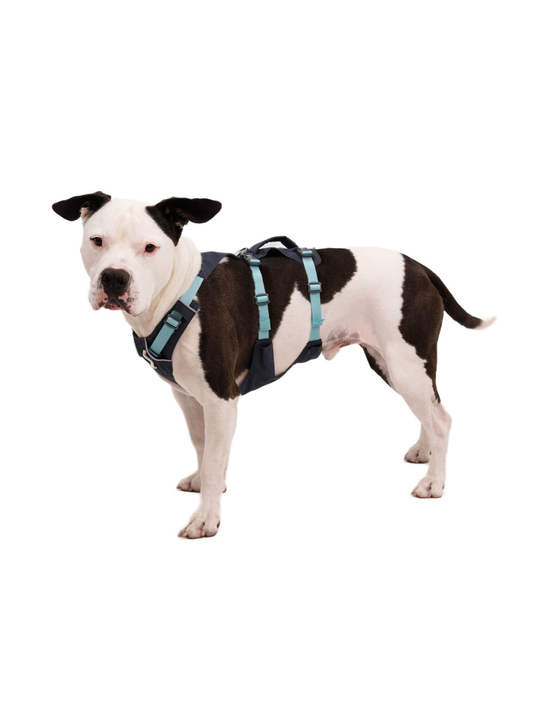 RUFFWEAR｜ラフウェア【フラッグラインハーネス】