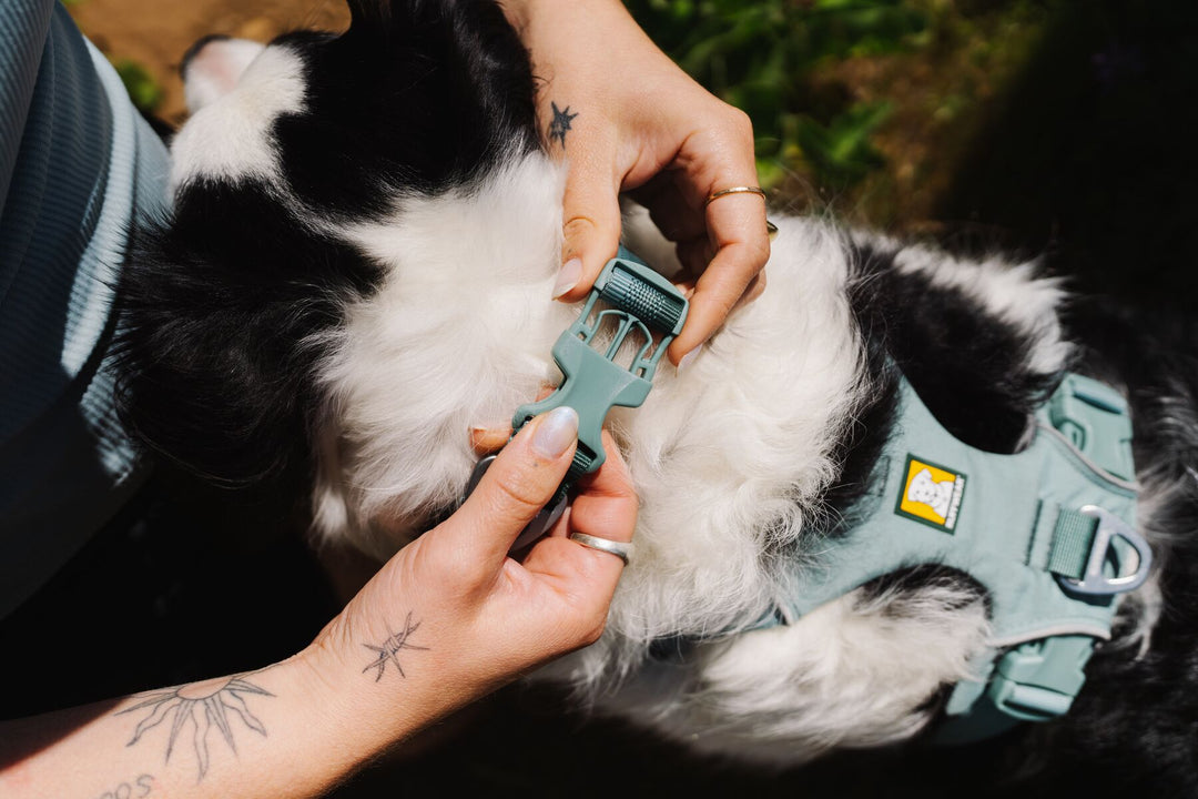 RUFFWEAR｜ラフウェア【フロントレンジカラー】