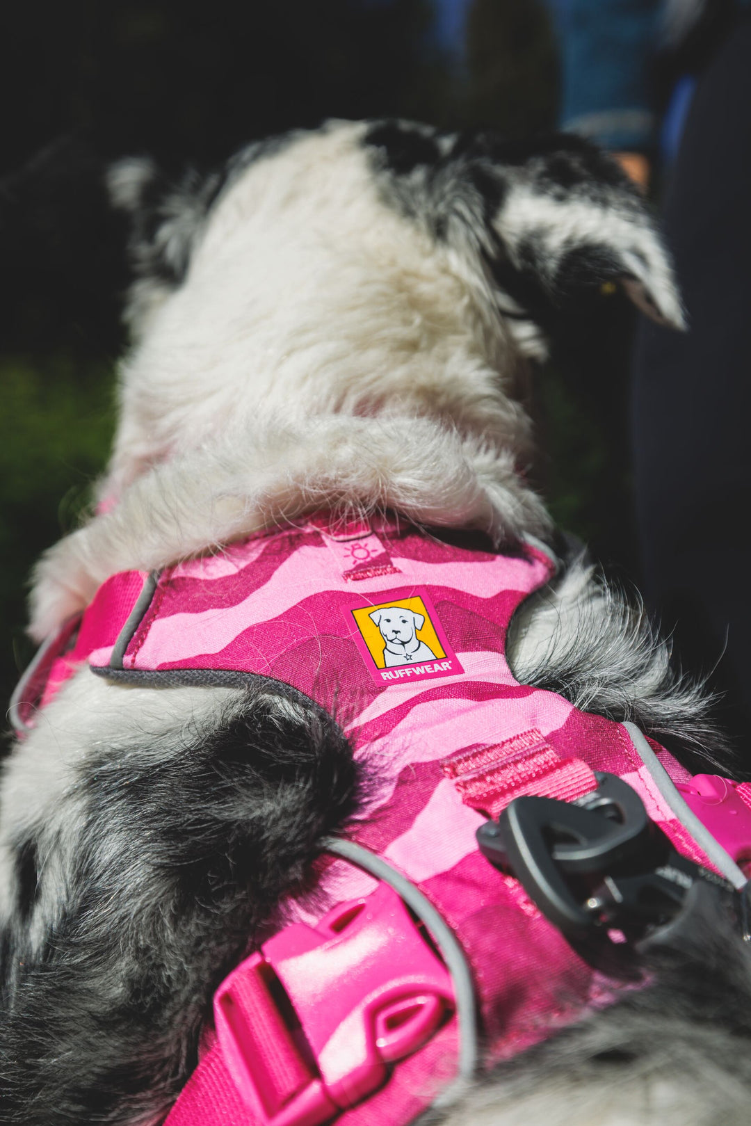 RUFFWEAR｜ラフウェア【フロントレンジハーネス】