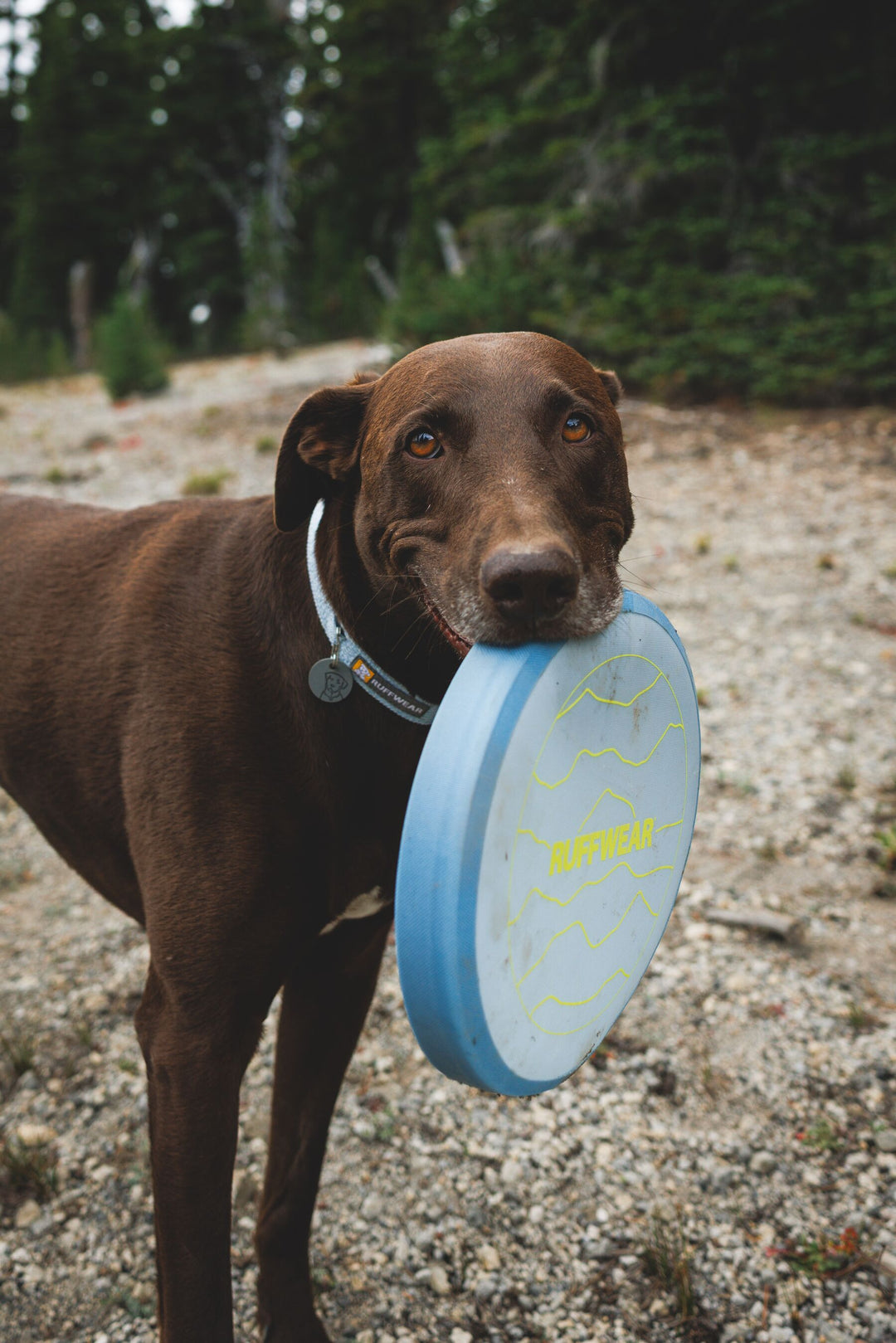 RUFFWEAR｜ラフウェア【キャンプフライヤートイ】