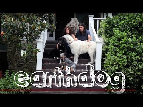 earthdog｜アースドッグ【100%ヘンプ製マーチンゲールカラー】